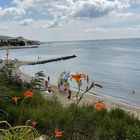 Premier F1 420 Apartment Sweti Wlas