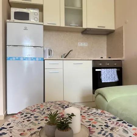Apartment Premier F1 420